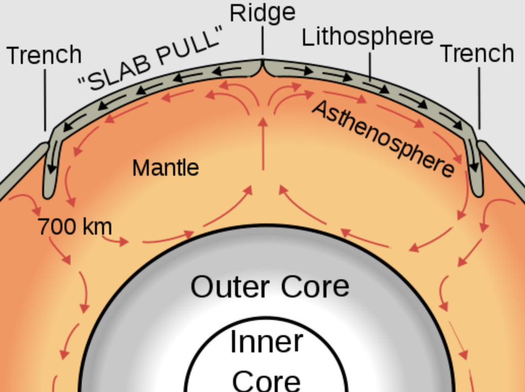 theory of plate tectonics - Ridge Trench "Slab Pull" Lithosphere Trench Mantle Asthenosphere 700 km Outer Core Inner Core